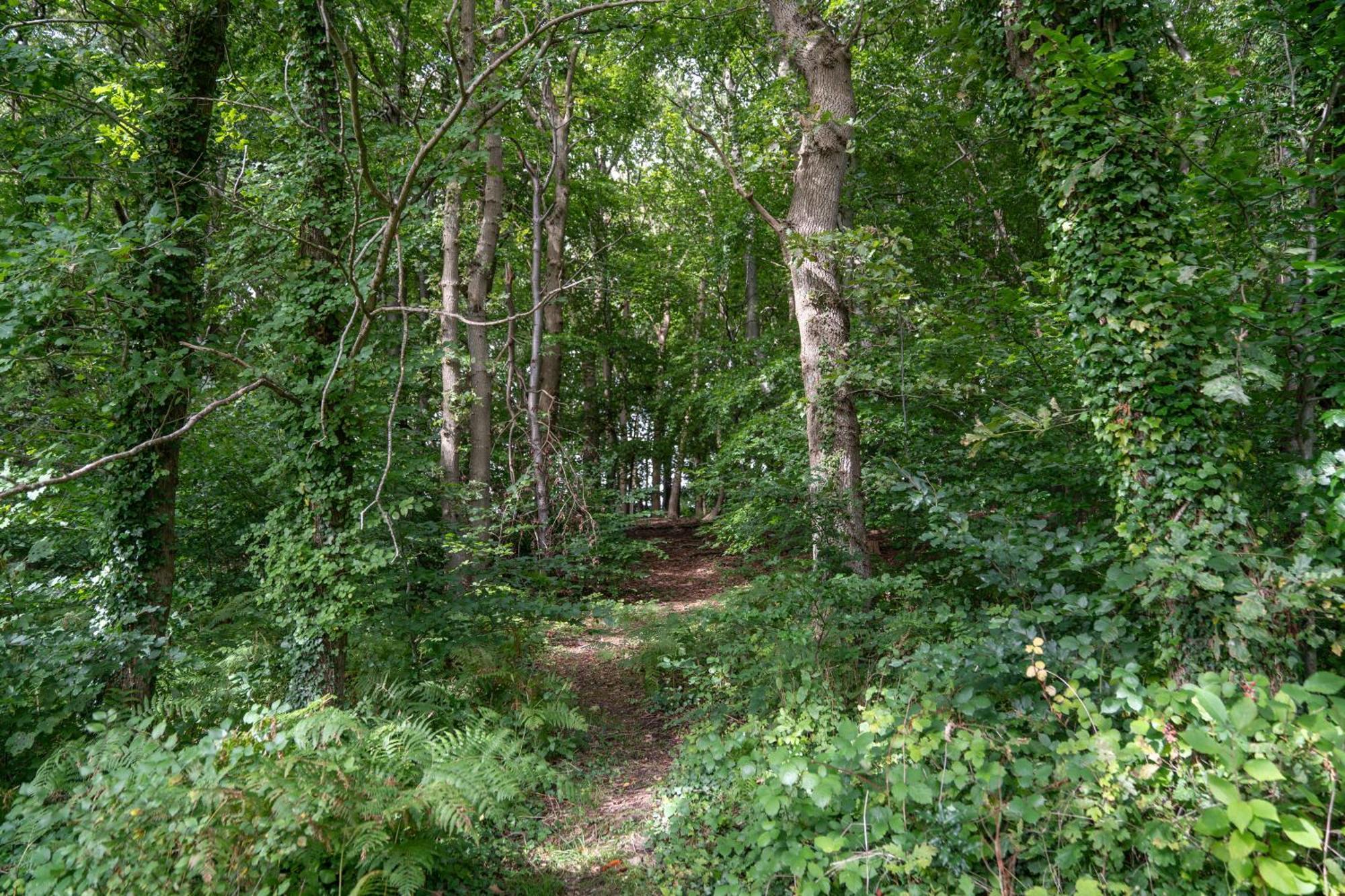 Gites 4,6 Personnes Fecamp Etretat Colleville ภายนอก รูปภาพ